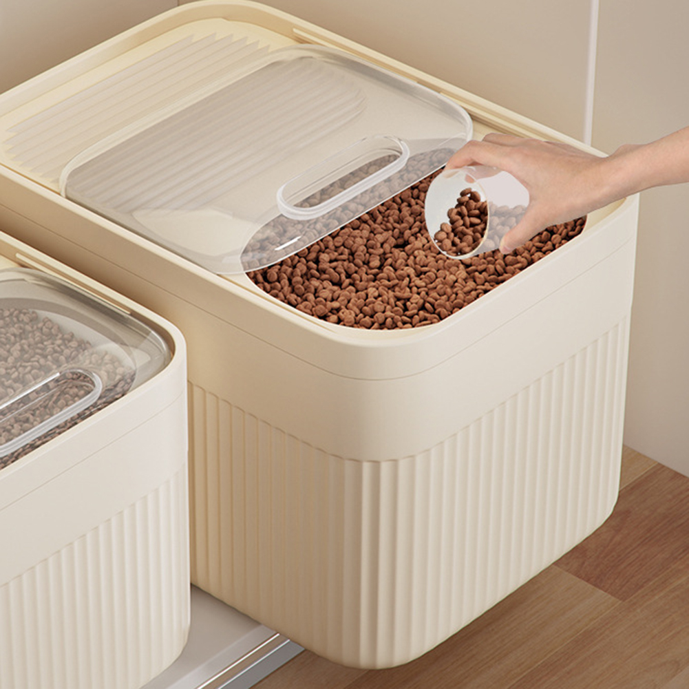 Contenitore di stoccaggio degl - Food Xxl recensione e prezzo